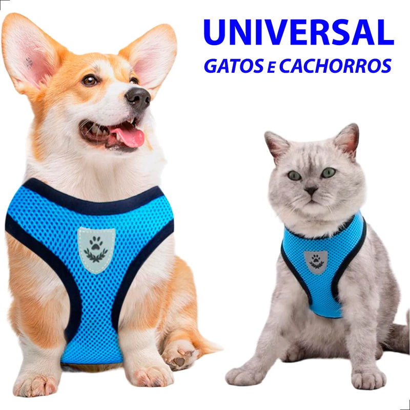 Coleira Peitoral para Gato e Cachorro + Guia com Colete Refletivo