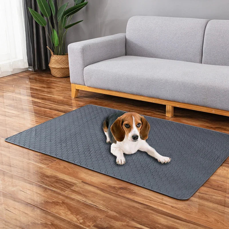 Tapete de urina absorvente impermeável para pets